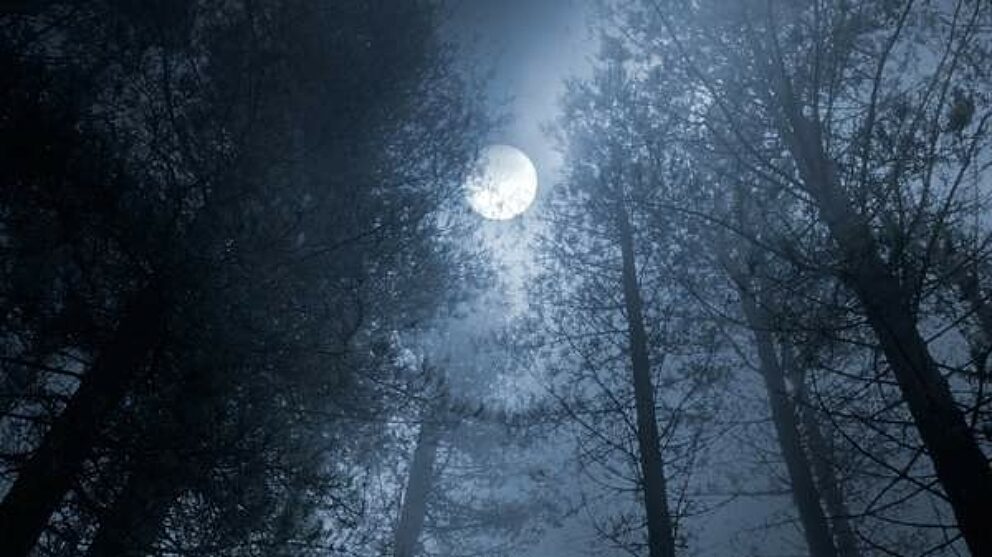 Horror Camping 600x337