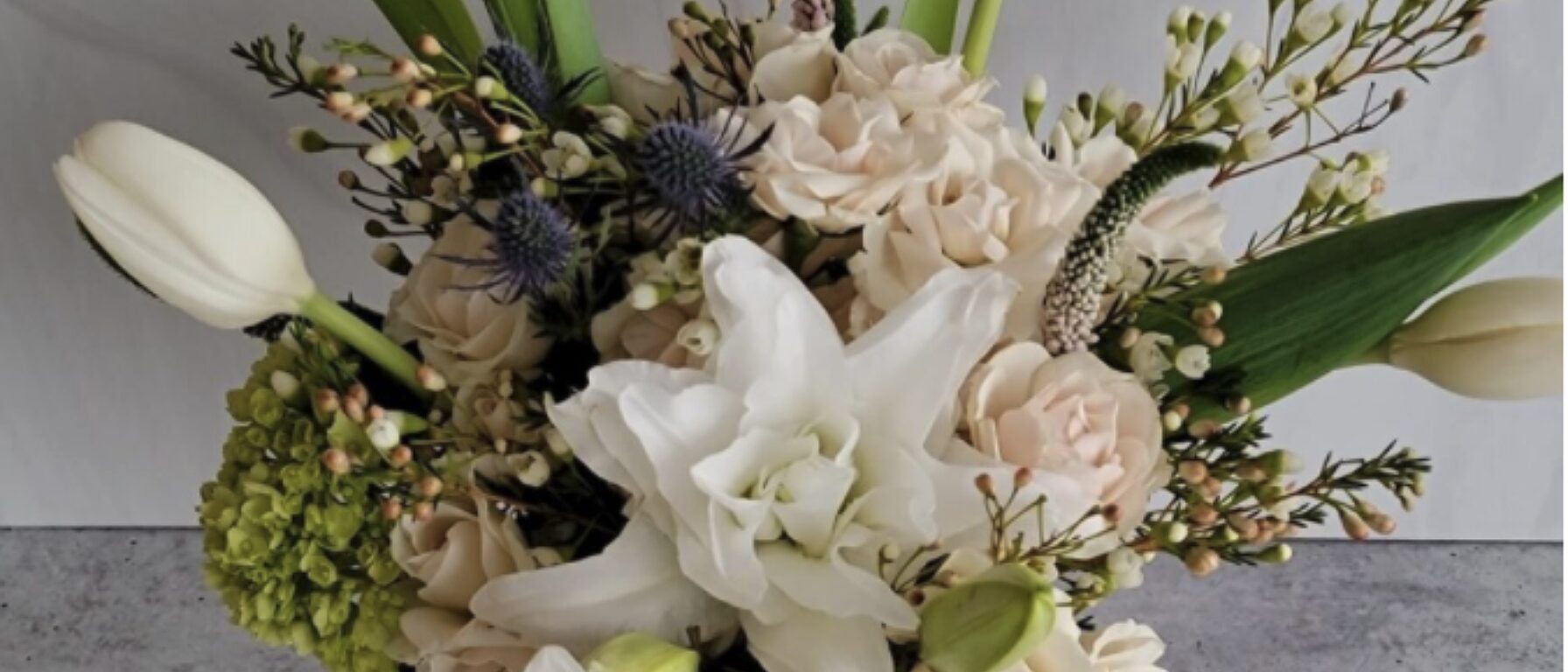 Screen Shot 2022 01 11 at 5 46 50 PM