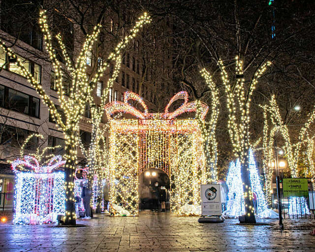 Westlake Center lights