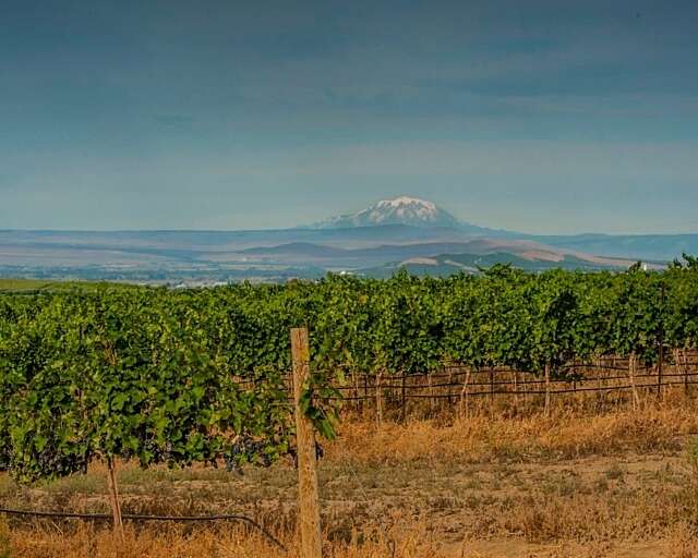 B7 F93 F1 C 2 BB2 4 BB5 BD0 F 8 E87 DD3 E8987