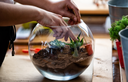 Terrarium