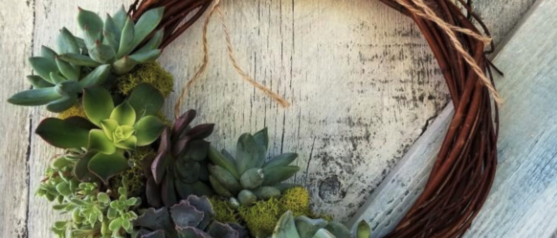 Screen Shot 2021 07 07 at 4 12 03 PM